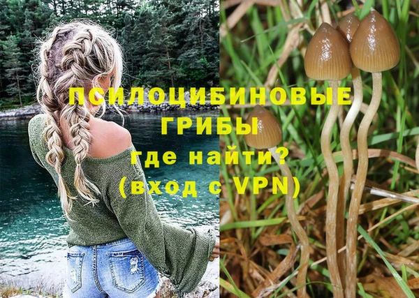 ALPHA PVP Алексеевка