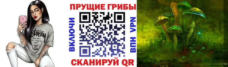 Галлюциногенные грибы Magic Shrooms  купить закладку  Оса 